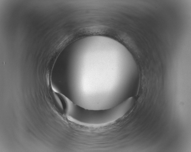 X0000078890021200611271404