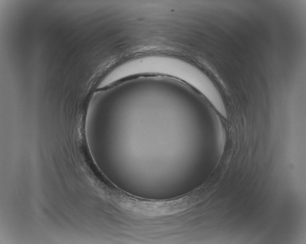 X0000078890023200611271404