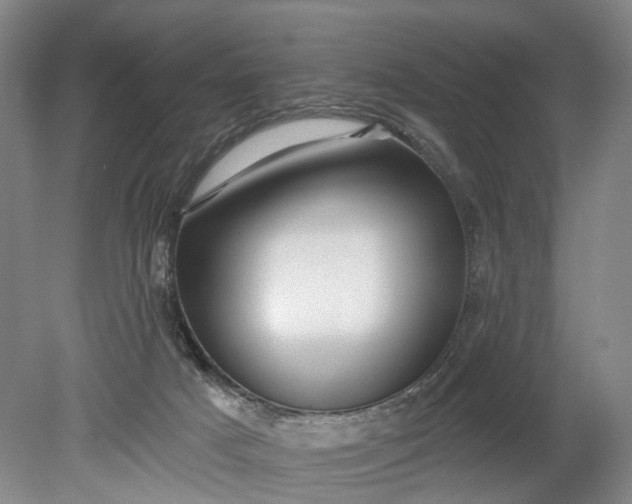 X0000078890025200611271404