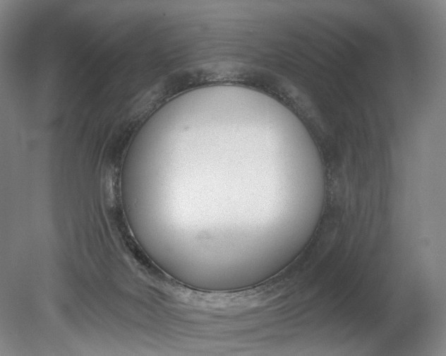 X0000078890026200611271404