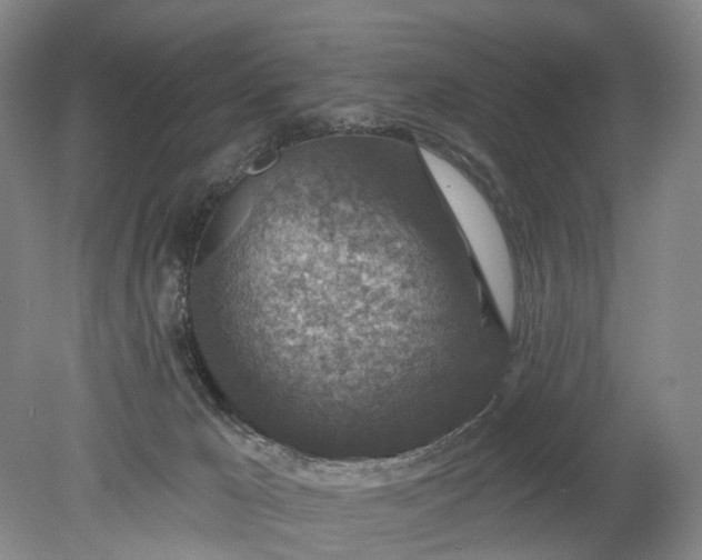 X0000078890029200611271404