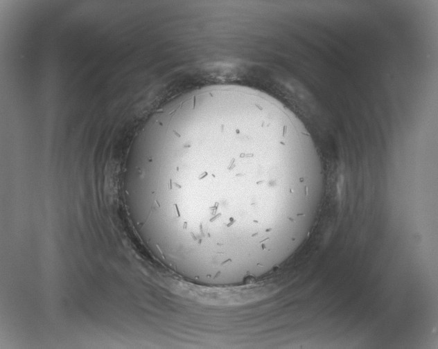 X0000078890030200611271404