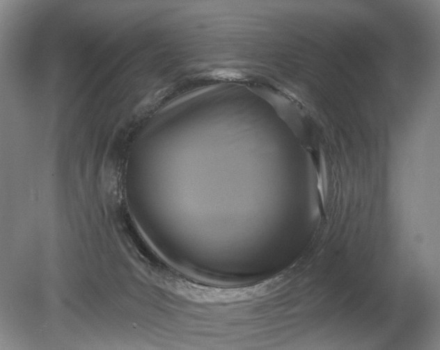 X0000078890031200611271404