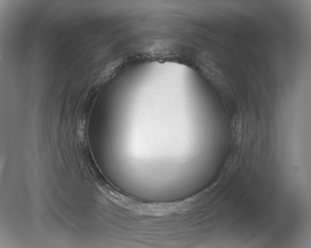 X0000078890033200611271404