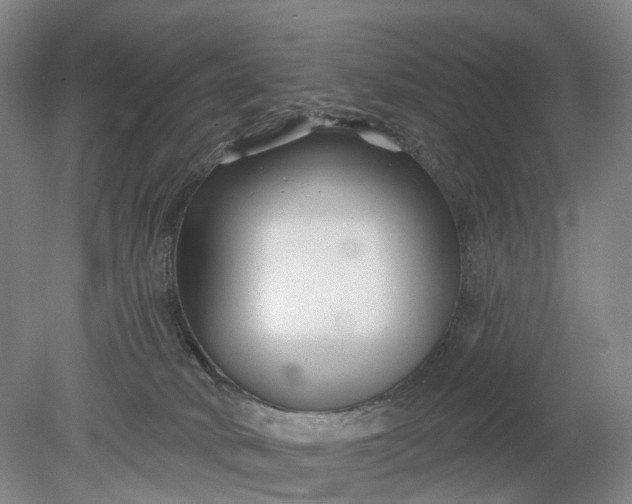 X0000078890034200611271404