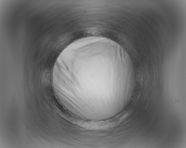 X0000078890036200611271404