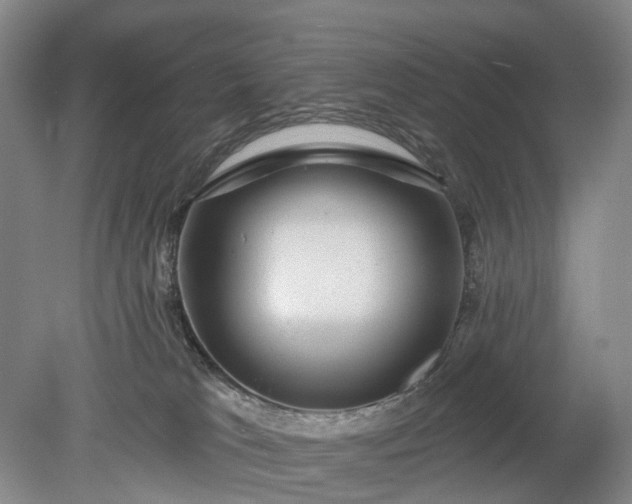 X0000078890037200611271404