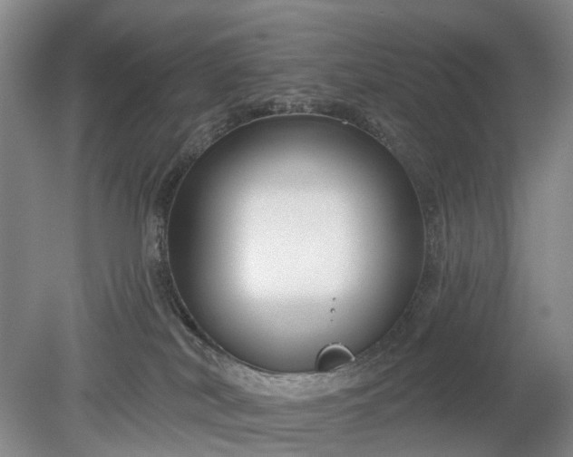 X0000078890038200611271404