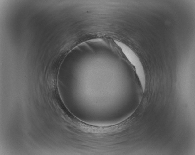 X0000078890039200611271404