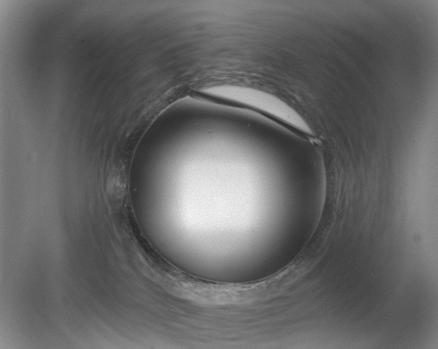 X0000078890040200611271404