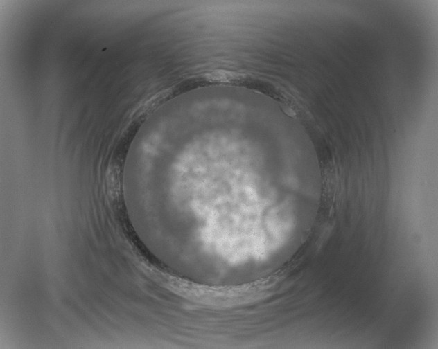 X0000078890043200611271404