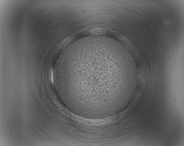 X0000078890046200611271404