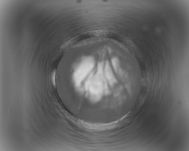 X0000078890047200611271404