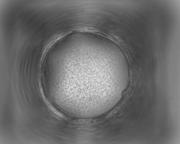 X0000078890049200611271403