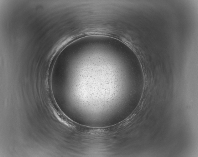 X0000078890050200611271403