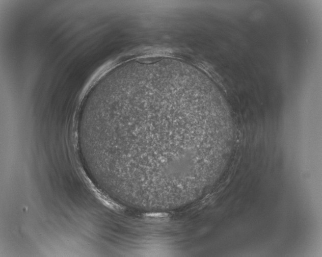 X0000078890053200611271403