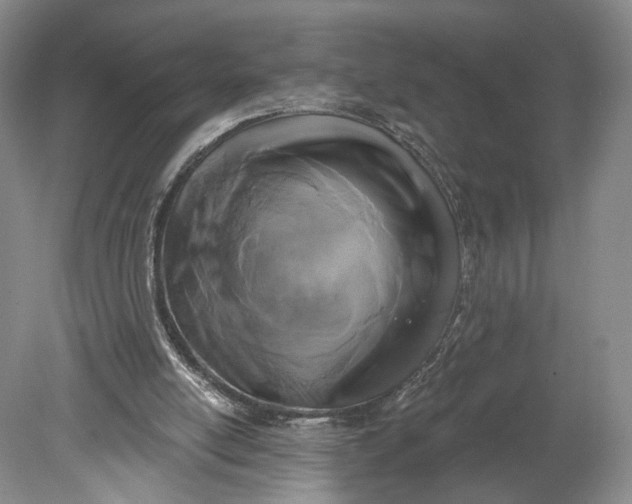 X0000078890054200611271403