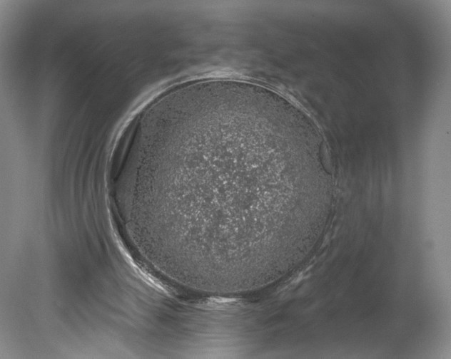 X0000078890055200611271403