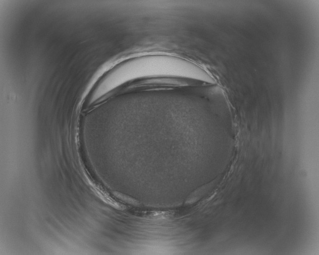 X0000078890056200611271403