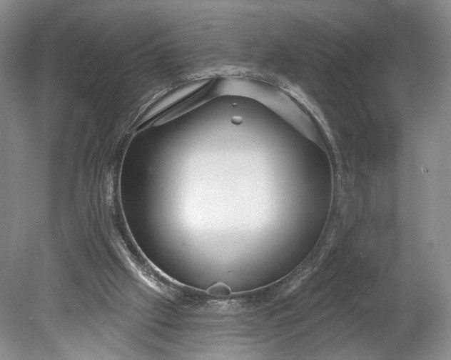 X0000078890057200611271403