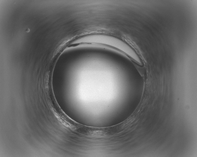 X0000078890058200611271403