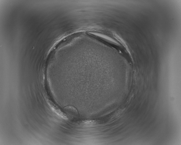 X0000078890059200611271403