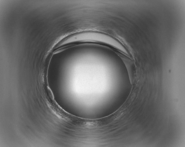 X0000078890060200611271403