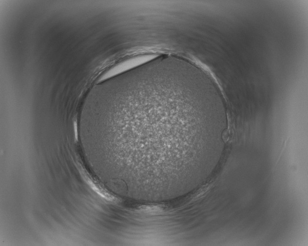 X0000078890061200611271403