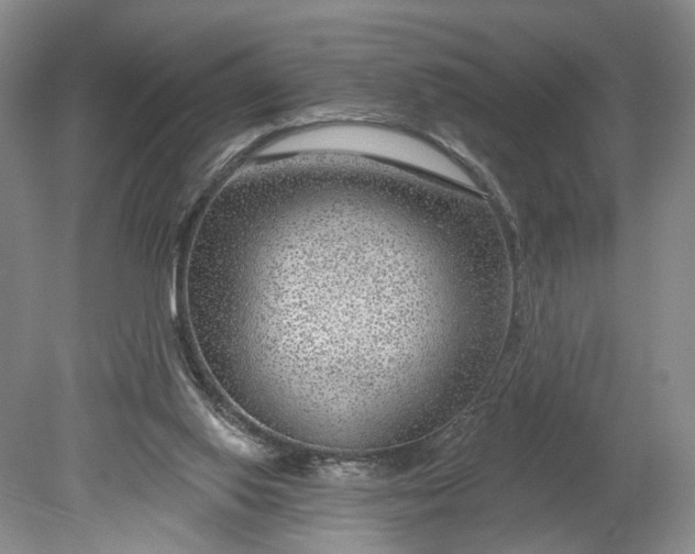 X0000078890062200611271403