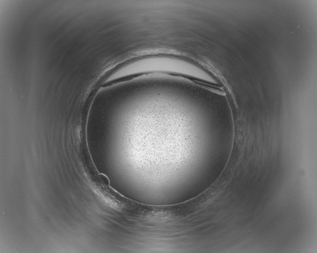 X0000078890063200611271403