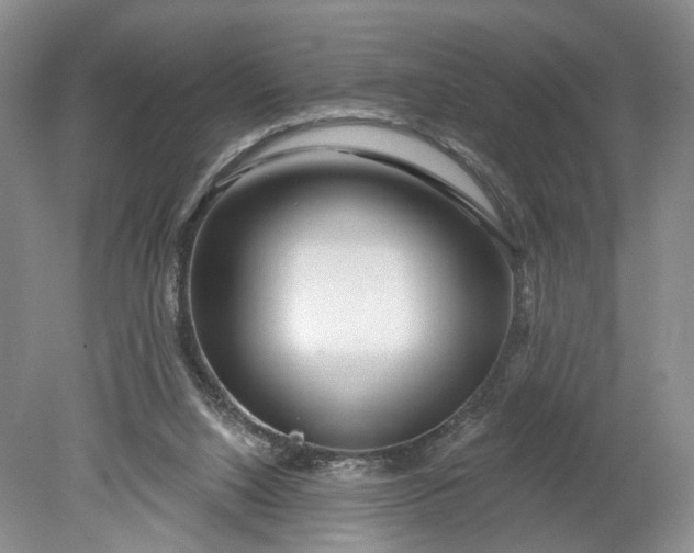 X0000078890064200611271403