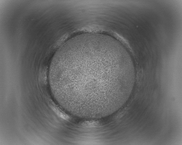 X0000078890065200611271403