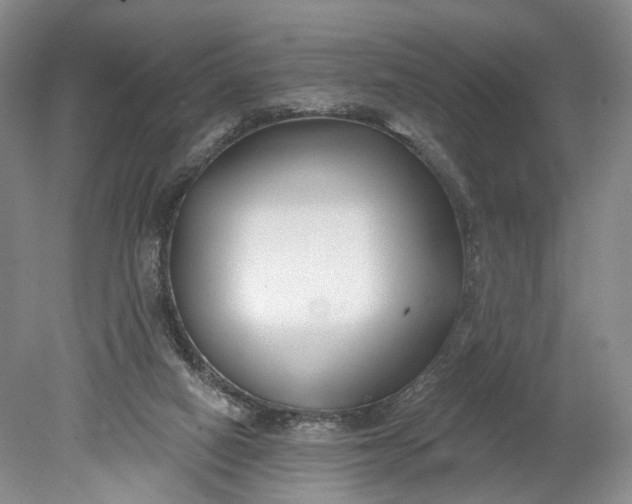 X0000078890066200611271403