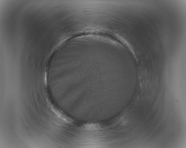 X0000078890067200611271403