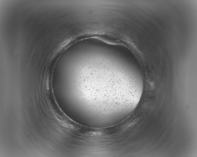 X0000078890068200611271403