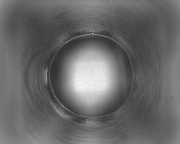 X0000078890070200611271403