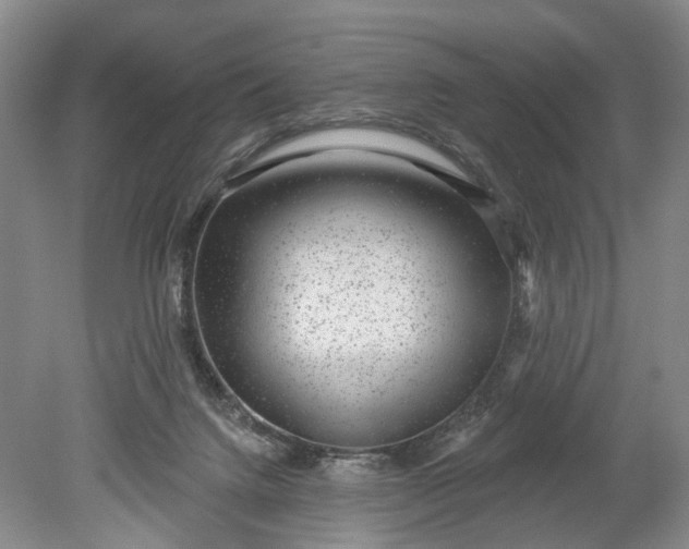 X0000078890072200611271403