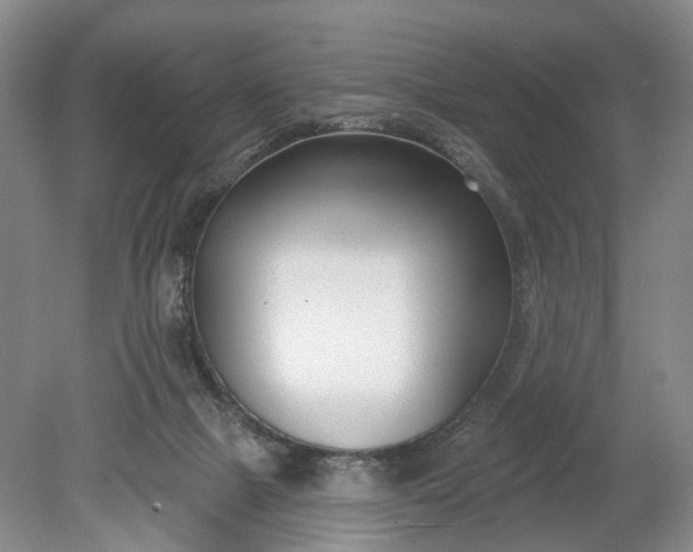 X0000078890073200611271403