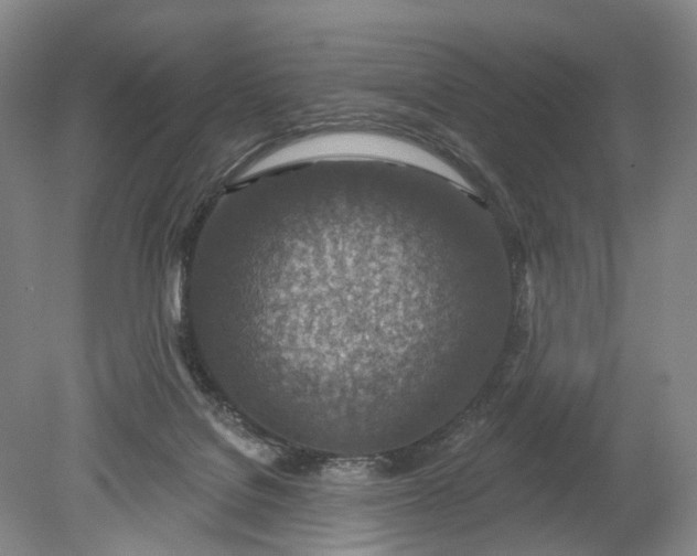 X0000078890076200611271403