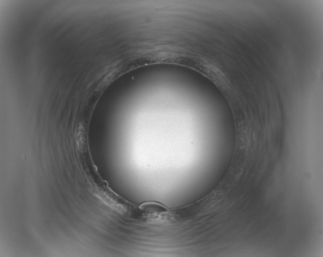 X0000078890077200611271403