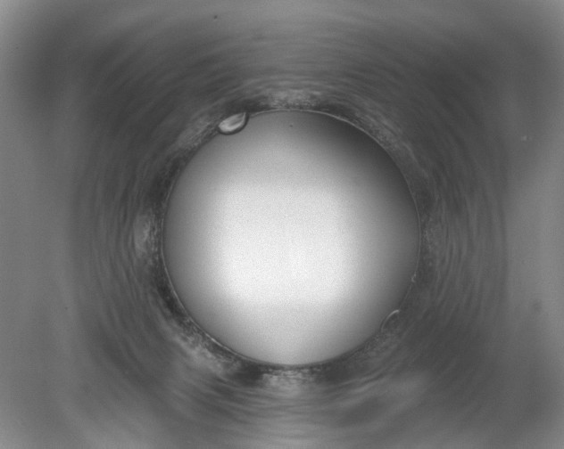 X0000078890079200611271403