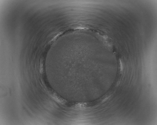 X0000078890080200611271403