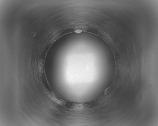 X0000078890083200611271404