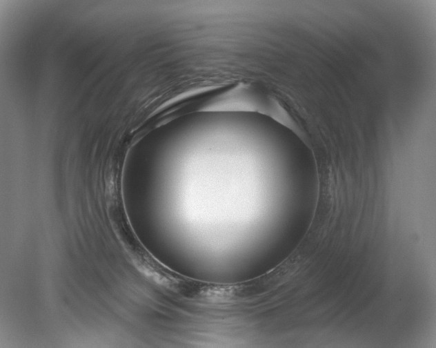 X0000078890084200611271404