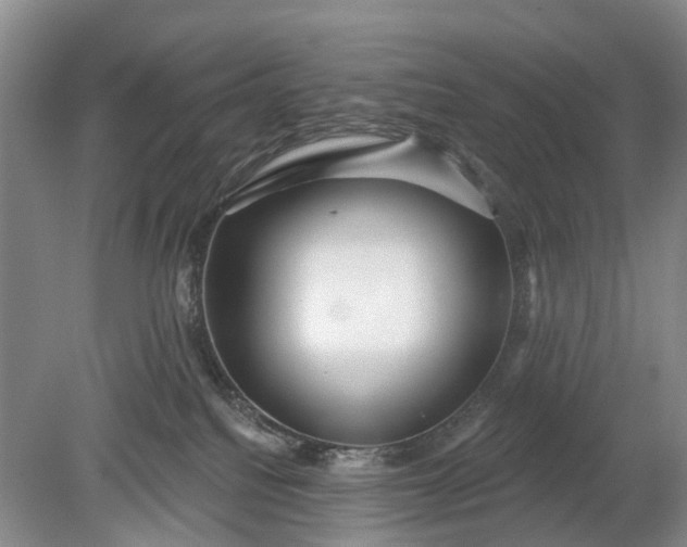 X0000078890088200611271404