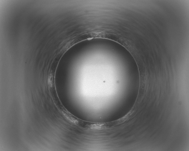 X0000078890090200611271404