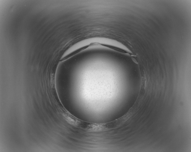 X0000078890093200611271404