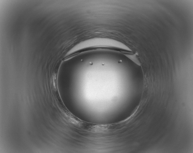 X0000078890094200611271404