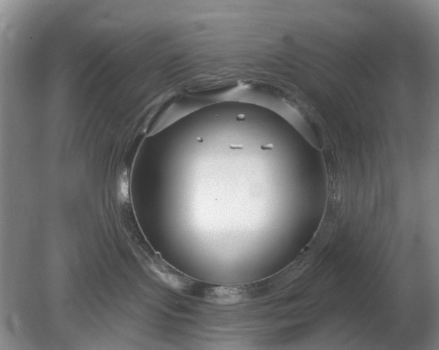 X0000078890095200611271404