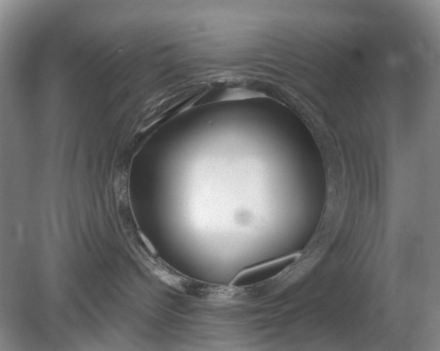 X0000078890096200611271404